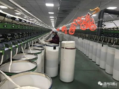 棉花堂家紡工廠網(wǎng)絡(luò)聯(lián)系方式與地址查詢指南